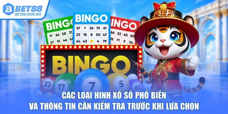 Các loại hình xổ số phổ biến và thông tin cần kiểm tra trước khi lựa chọn